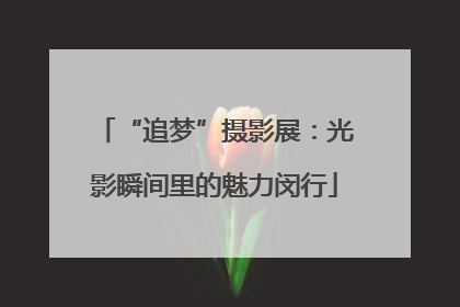 “追梦”摄影展：光影瞬间里的魅力闵行