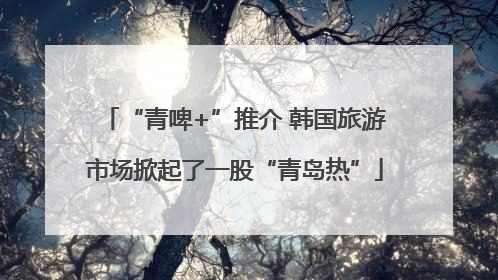 “青啤+”推介 韩国旅游市场掀起了一股“青岛热”
