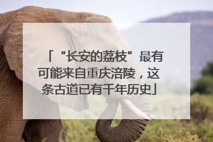“长安的荔枝”最有可能来自重庆涪陵，这条古道已有千年历史
