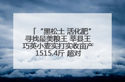 “黑松土 活化肥”寻找最美粮王 莘县王巧英小麦实打实收亩产1515.4斤 超对照田144斤！