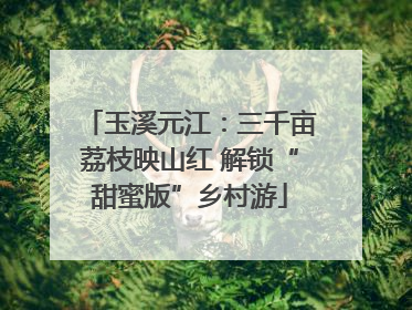 玉溪元江：三千亩荔枝映山红 解锁“甜蜜版”乡村游