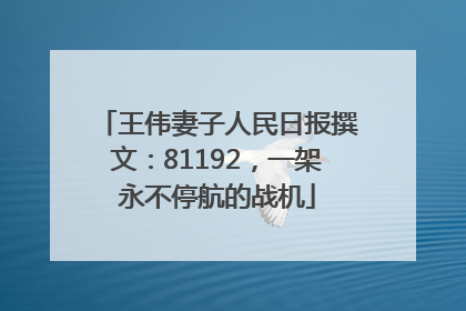 王伟妻子人民日报撰文：81192，一架永不停航的战机