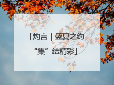 灼言｜盛夏之约 “集”结精彩