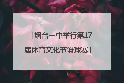 烟台三中举行第17届体育文化节篮球赛