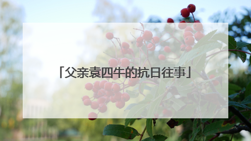父亲袁四牛的抗日往事