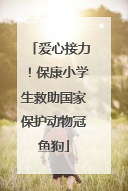 爱心接力！保康小学生救助国家保护动物冠鱼狗