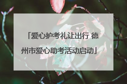 爱心护考礼让出行 德州市爱心助考活动启动