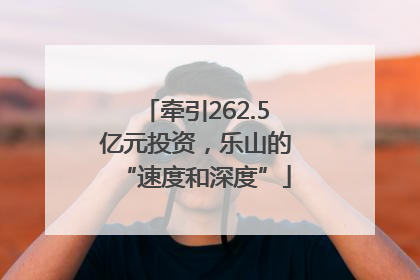 牵引262.5亿元投资，乐山的“速度和深度”