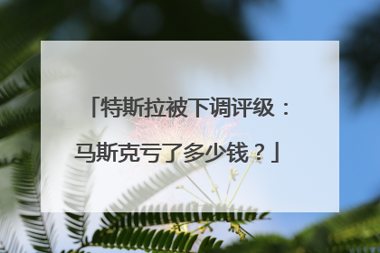特斯拉被下调评级：马斯克亏了多少钱？