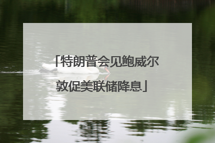 特朗普会见鲍威尔 敦促美联储降息