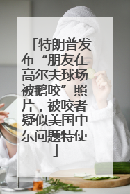 特朗普发布“朋友在高尔夫球场被鹅咬”照片，被咬者疑似美国中东问题特使