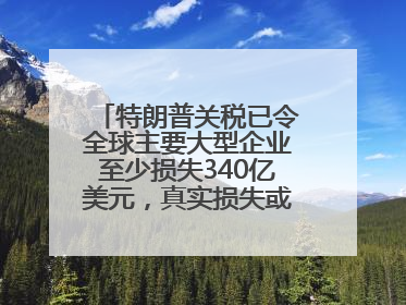 特朗普关税已令全球主要大型企业至少损失340亿美元，真实损失或高致数倍