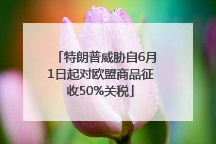 特朗普威胁自6月1日起对欧盟商品征收50%关税
