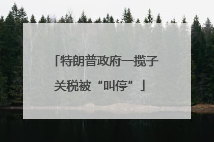 特朗普政府一揽子关税被“叫停”