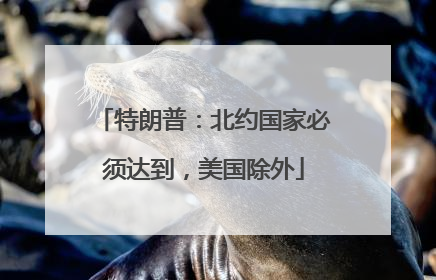 特朗普：北约国家必须达到，美国除外