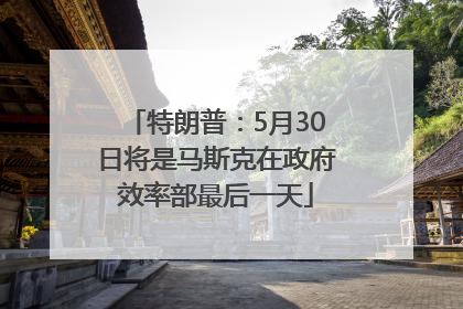 特朗普：5月30日将是马斯克在政府效率部最后一天