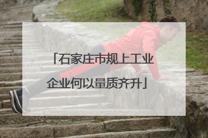 石家庄市规上工业企业何以量质齐升