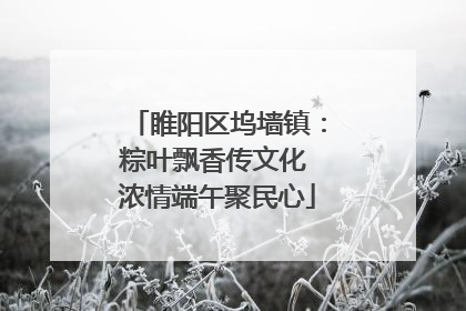 睢阳区坞墙镇：粽叶飘香传文化 浓情端午聚民心