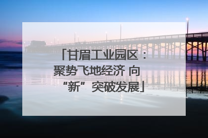 甘眉工业园区：聚势飞地经济 向“新”突破发展