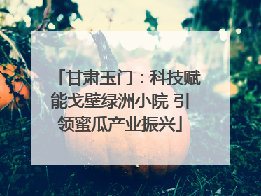甘肃玉门：科技赋能戈壁绿洲小院 引领蜜瓜产业振兴