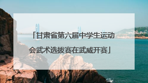 甘肃省第六届中学生运动会武术选拔赛在武威开赛