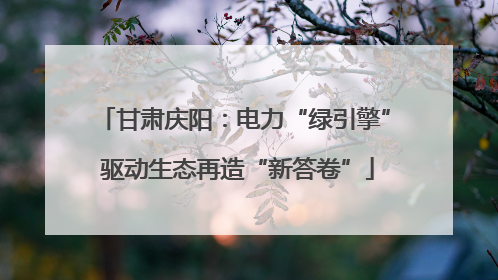 甘肃庆阳：电力“绿引擎” 驱动生态再造“新答卷”