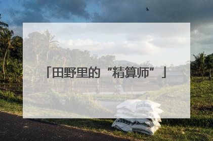 田野里的“精算师”