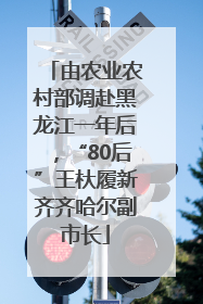 由农业农村部调赴黑龙江一年后，“80后”王杕履新齐齐哈尔副市长