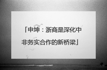 申坤：浙商是深化中非务实合作的新桥梁