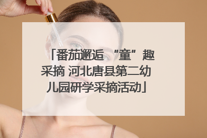 番茄邂逅 “童”趣采摘 河北唐县第二幼儿园研学采摘活动