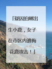 疑因拍刚出生小鹿，女子在市区内遭梅花鹿攻击！