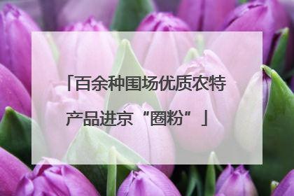 百余种围场优质农特产品进京“圈粉”
