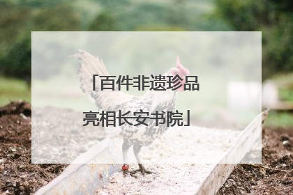 百件非遗珍品亮相长安书院