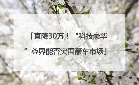 直降30万！“科技豪华”尊界能否突围豪车市场
