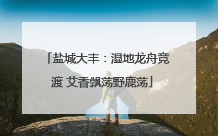 盐城大丰：湿地龙舟竞渡 艾香飘荡野鹿荡
