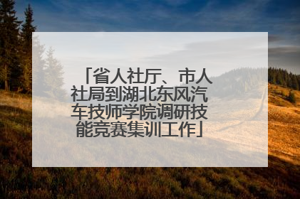 省人社厅、市人社局到湖北东风汽车技师学院调研技能竞赛集训工作