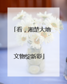 看，湘楚大地文物绽新彩