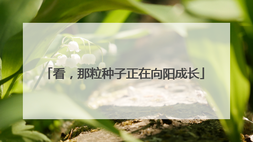 看，那粒种子正在向阳成长