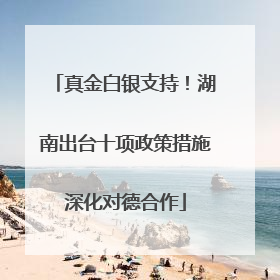 真金白银支持！湖南出台十项政策措施深化对德合作