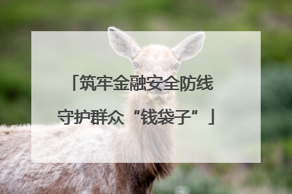 筑牢金融安全防线 守护群众“钱袋子”