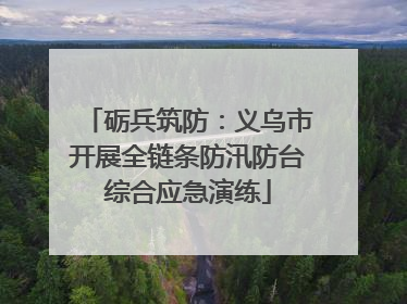 砺兵筑防：义乌市开展全链条防汛防台综合应急演练
