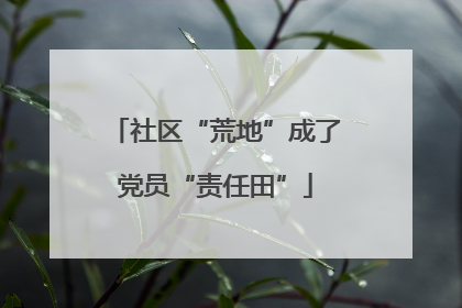 社区“荒地”成了党员“责任田”