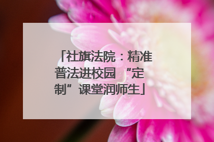 社旗法院：精准普法进校园 “定制”课堂润师生