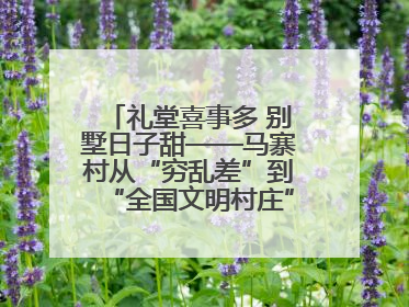礼堂喜事多 别墅日子甜——马寨村从“穷乱差”到“全国文明村庄”的蝶变之路