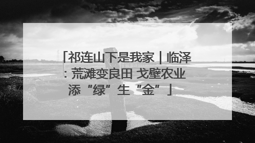 祁连山下是我家｜临泽：荒滩变良田 戈壁农业添“绿”生“金”