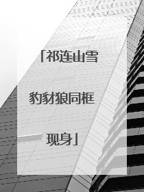 祁连山雪豹豺狼同框现身