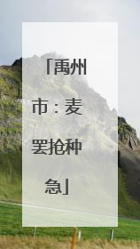 禹州市：麦罢抢种急