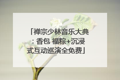 禅宗少林音乐大典：香包 福粽+沉浸式互动巡演全免费