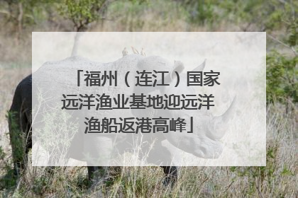 福州（连江）国家远洋渔业基地迎远洋渔船返港高峰