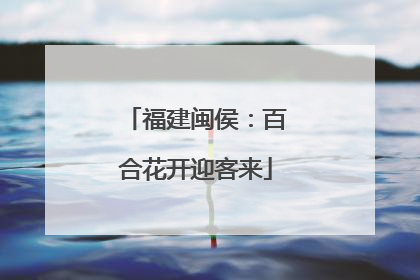 福建闽侯：百合花开迎客来